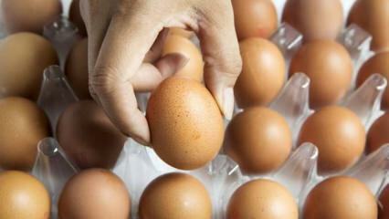 Consigli pratici per mantenere le uova fresche